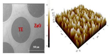 a) Surface morphology AFM image of the ZnO; b) SEM surface image of the device displaying TE pattern (left); and (c) XRD pattern of the ZnO structure (right).